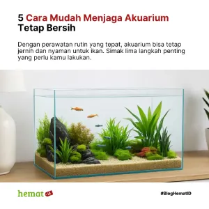 5 Cara Mudah Menjaga Akuarium Tetap Bersih