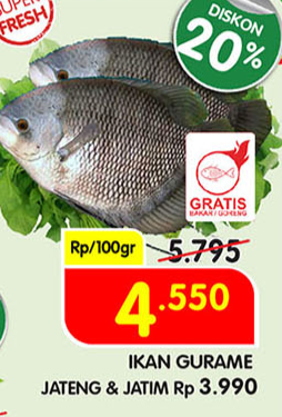 Promo Harga Ikan Gurame Terbaru - Katalog Superindo | Hemat.id